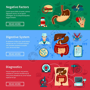 消化系统平横幅套三个水平消化系统平横幅负因素诊断消化系统描述矢量插图图片