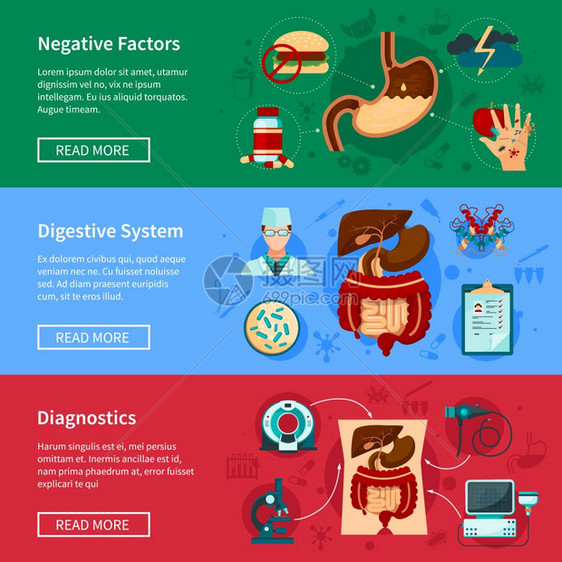 消化系统平横幅套三个水平消化系统平横幅负因素诊断消化系统描述矢量插图图片