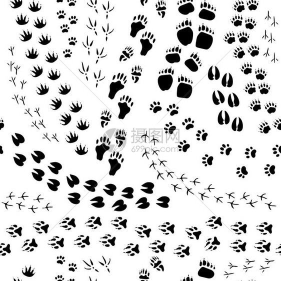 动物轨道无缝图案平单色无缝图案与各种动物鸟类轨道白色背景矢量插图图片