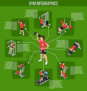 彩色健身房信息图彩色健身房信息图同肌肉群影响的运动类型矢量图图片