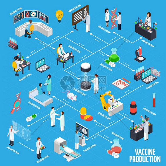 疫苗生产信息图表布局疫苗生产信息布局与科学实验动物测试康复符号等距矢量插图图片