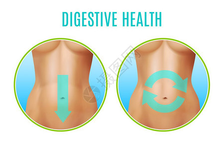 消化健康现实消化健康现实,包括圆形图标与女腹部指针白色背景矢量插图图片