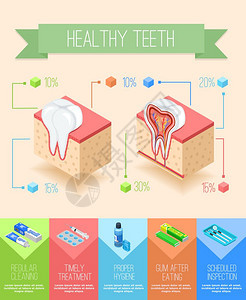 口腔护理信息图表海报牙科信息与牙龈牙齿的等距截视图与牙科护理用品矢量插图的图像图片
