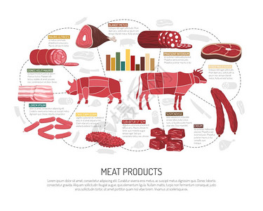 肉类市场产品平信息海报肉类市场产品品种信息展示与猪肉羊肉牛肉香肠火腿培根熟食平矢量插图图片