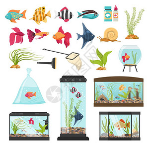 水族馆必需元素收集水族馆套鱼碗,物种,水植物,水族卷须设备鱼食包装图像矢量插图插画
