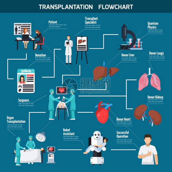 移植流程图布局移植流程图布局与病人外科医生捐献心脏肺肝机器人助理图标平矢量插图图片