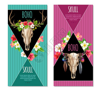 牛头骨横幅现实的套两个垂直的彩色横幅与牛头盖骨装饰花羽毛博霍风格白色背景矢量插图图片