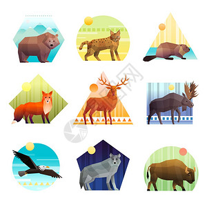 动物多边形套彩色多边形标志的同形状与野生动物鸟类隔离白色背景矢量插图图片