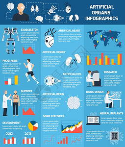 仿生人工器官信息仿生人工器官信息与同的身体部分,可以植入平风格的矢量插图图片