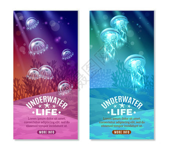 水下彩色横幅水下世界五颜六色的垂直透明紫色绿松石蓝色海洋生物孤立矢量插图图片