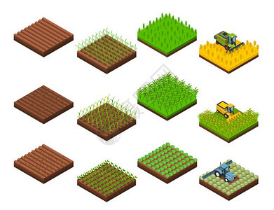 收获工作元素集农场收获集与孤立等距正方形场段图像同阶段的收获操作矢量插图背景图片