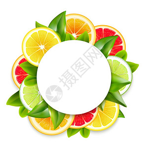 切割的柑橘类水果切片叶圆观赏圆形框架安排彩色自然写实矢量插图插画