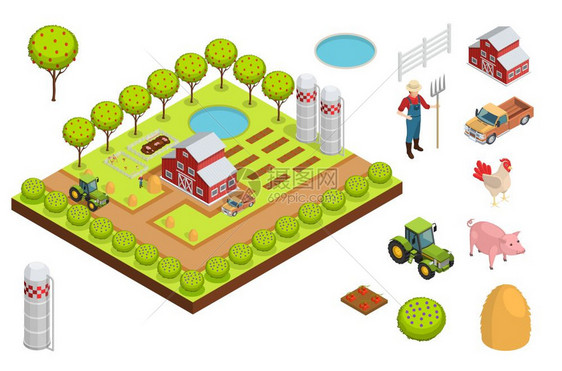 农场等距成农场等距构图布局,创建个农场与房子,树木,幼苗动物矢量插图图片