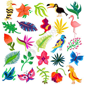 三叶草动物群热带异国情调的套十五平图标与手绘风格的树叶,花卉鸟类矢量插图图片