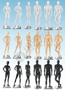 人体模型3种颜色的写实套零售窗口3彩色写实时尚男女全身人体模特收集孤立矢量插图图片