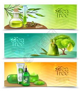 茶树水平横幅三个水平现实横幅与茶树油天然机化妆品隔离白色背景矢量插图图片