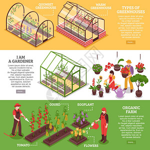 温室横幅套三个水平温室横幅与园丁机农场类型温室描述矢量插图图片