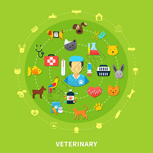 宠物护理五颜六色的宠物护理与各种兽医图标明亮的绿色背景平矢量插图图片