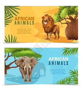 狩猎动物水平横幅野生动物水平横幅与大象狮子符号非洲树木背景卡通矢量插图图片