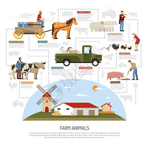 农场动物流程图农场动物的成与平图像的畜牧场景观与人,动物车辆矢量插图图片