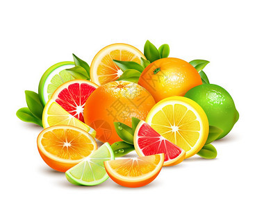 柑橘类水果采集真实成分柑橘类水果的整个半部分四分之彩色成与石灰,柠檬,柚子橘子现实的矢量插图图片