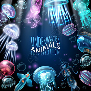 水下动物框架背景光线明亮的水下动物框架背景鱿鱼水母其他居民矢量插图图片