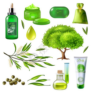 茶树系列产品茶树系列产品包括部分植物油滴肥皂奶油香囊分离矢量插图背景图片