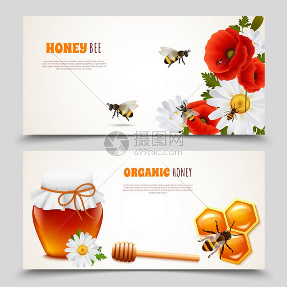 蜂蜜横幅套两个水平蜂蜜横幅蜜蜂机蜂蜜描述矢量插图图片