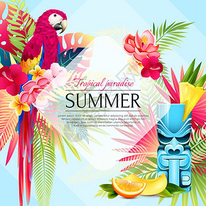 夏季热带天堂背景热带夏季鹦鹉框架海报与树叶,水果片鸟类的成与装饰文本矢量插图图片