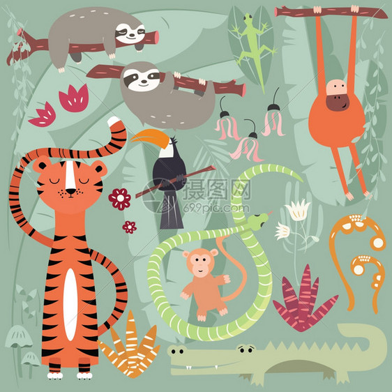 收集可爱的雨林动物,老虎,蛇,树懒,猴子,矢量插图图片