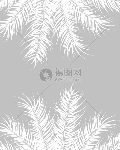 热带与白色棕榈叶植物灰色背景 矢量插图插画图片下载 正版图片 摄图网 热带与白色棕榈叶植物灰色背景 矢量插图插画图片下载 正版图片 摄图网