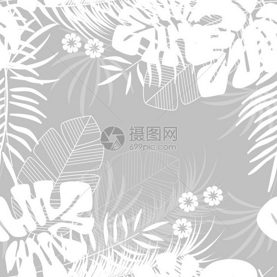 夏季无缝热带模式与怪物棕榈叶植物灰色背景,矢量插图图片