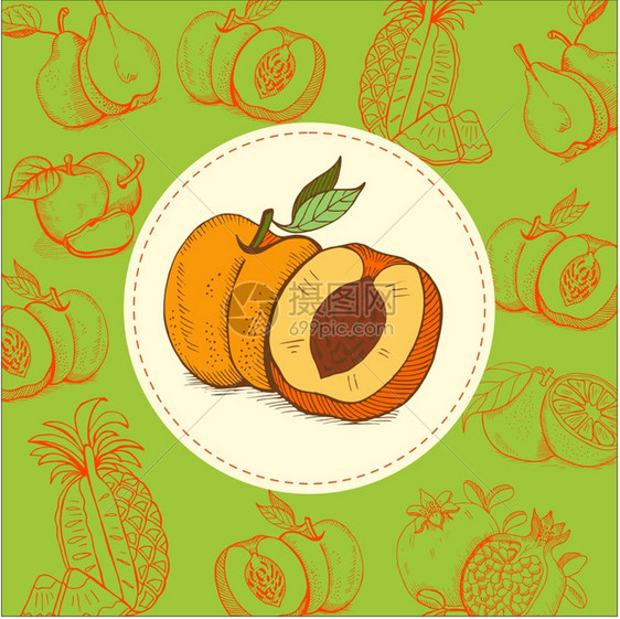 桃汁桃子矢量插图水果手绘的手绘矢量插图图片