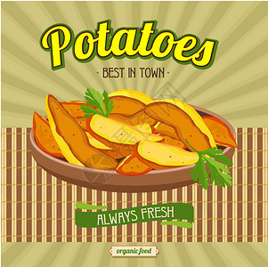 炸土豆种天然产品,镇上最好的餐馆咖啡馆的矢量插图背景图片