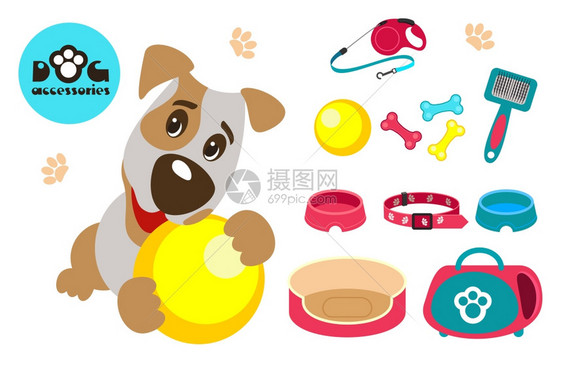 收集狗的配件趣的狗杰克罗素梗狗玩球白色背景上分离的矢量插图图片