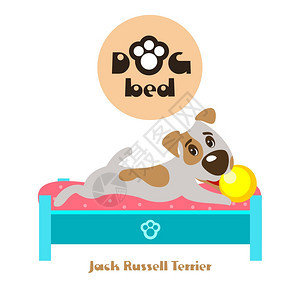 狗带着球躺床上矢量插图杰克罗素猎犬狗的产品图片