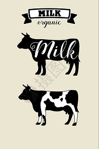 牛标志机产品,牛奶乳制品奶牛的矢量集插画