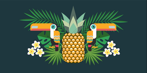 热带鸟类巨嘴鸟菠萝热带花卉奇异叶的矢量图图片