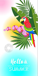 你好,夏天矢量插图棕榈叶中明亮的鹦鹉图片