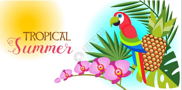热带夏天矢量成棕榈叶兰花明亮的热带鹦鹉图片