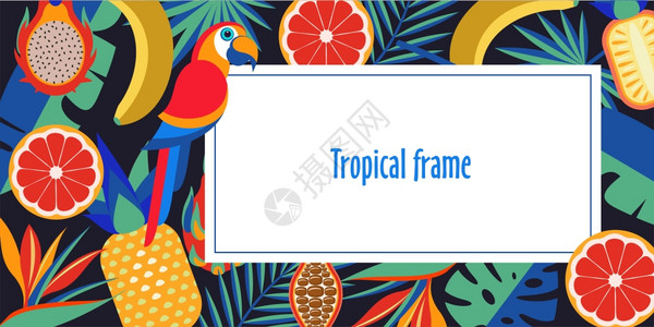 热带框架,异国情调的棕榈叶,热带水果,明亮的鹦鹉文字的地方矢量明亮的插图图片