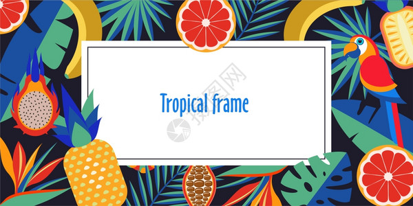 矢量明亮的插图热带框架,异国情调的棕榈叶,热带水果,明亮的鹦鹉文字的地方图片