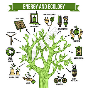 绿色能源生态信息图表布局海报生态自然绿色能源生物燃料生产与回收信息树布局图抽象矢量图图片