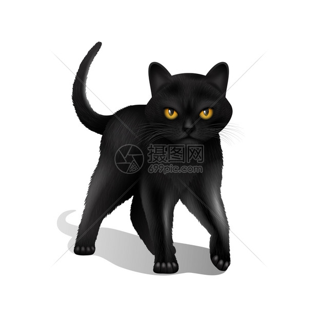 轻的黑色现实家猫孤立白色背景矢量插图黑猫写实插画图片下载 正版图片 摄图网 轻的黑色现实家猫孤立白色背景矢量插图黑猫写实插画图片下载 正版图片 摄图网