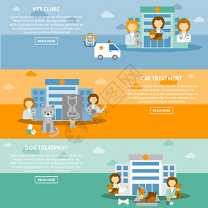 兽医宠物诊所水平横幅兽医诊所实践3互动水平网站横幅详细宠物治疗信息孤立矢量插图图片