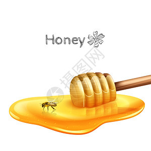 甜蜂蜜水坑与棍子蜜蜂现实矢量插图蜂蜜用棍子水坑图片