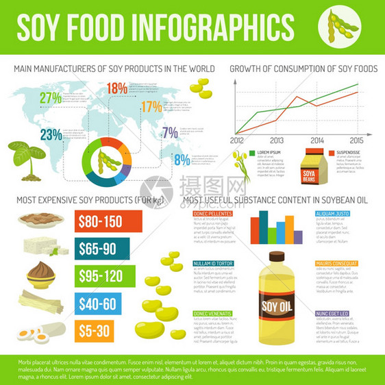 大豆食品信息图表集大豆食品信息机素食产品符号图表矢量插图图片
