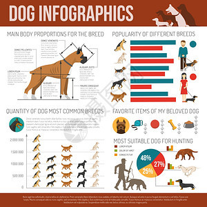 狗信息图集狗信息集与品种符号图表矢量插图图片
