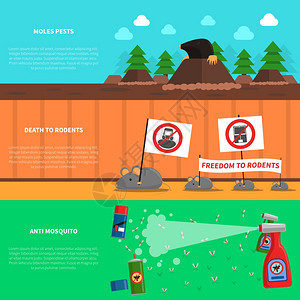 害虫水平横幅鼹鼠小鼠平元素分离矢量插图害虫横幅套图片