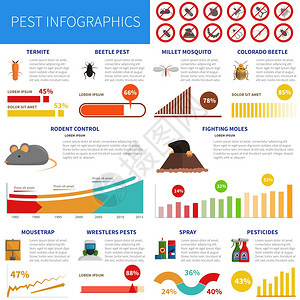 害虫信息图集与昆虫标志图表矢量插图害虫信息图集图片